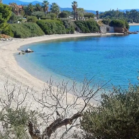 Berry House Nikiti (Sithonia)