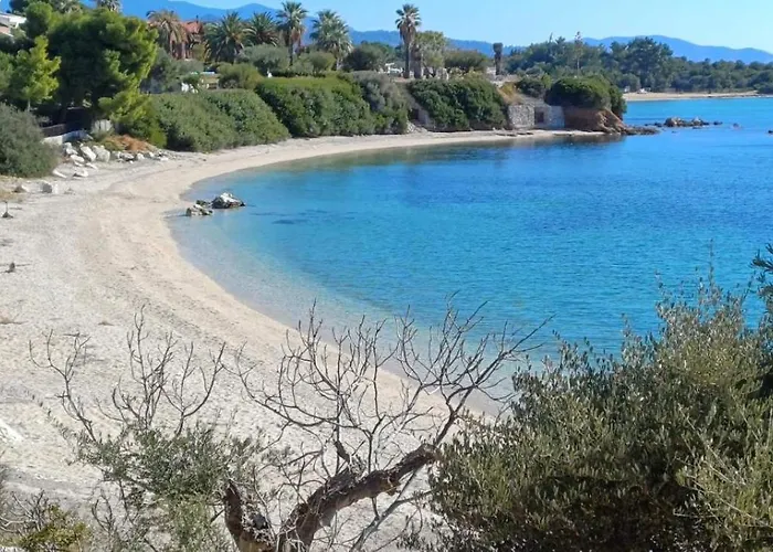 Berry House Nikiti (Sithonia)