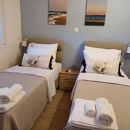 Berry House بيت للعطل نيكيتي